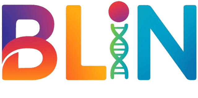 BLiN Logo